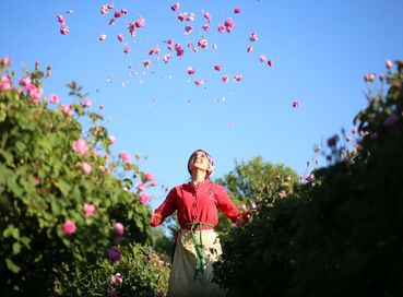 GÜL HASADI &EĞİRDİR GÖLÜ &BEYŞEHİR GÖLÜ &NİLÜFER ÇİÇEKLERİ & LEYLEKLER VADİSİ