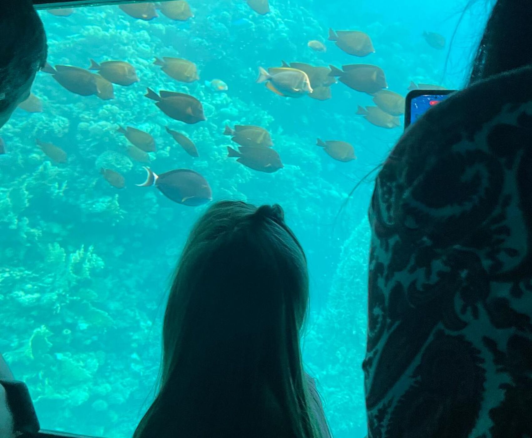 İSTANBUL ÇIKIŞLI HERŞEY DAHİL BAŞTAN BAŞA MISIR HURGADA LUXOR ASWAN KAHİRE SHARM EL SHEİKH