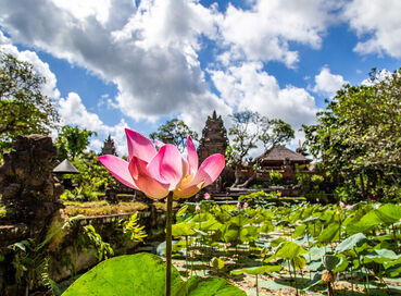 Bali & Ubud Serüveni Turu Emirates Hava Yolları ile 5 Gece (DPS-DXP-DPS) 