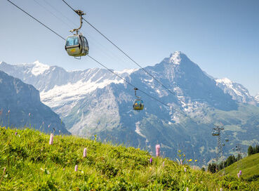 İzmir Çıkışlı Ramazan Bayramına Özel Tren ve Teleferik ile Alp Dağları Zirvesi & Alsace Colmar Turu