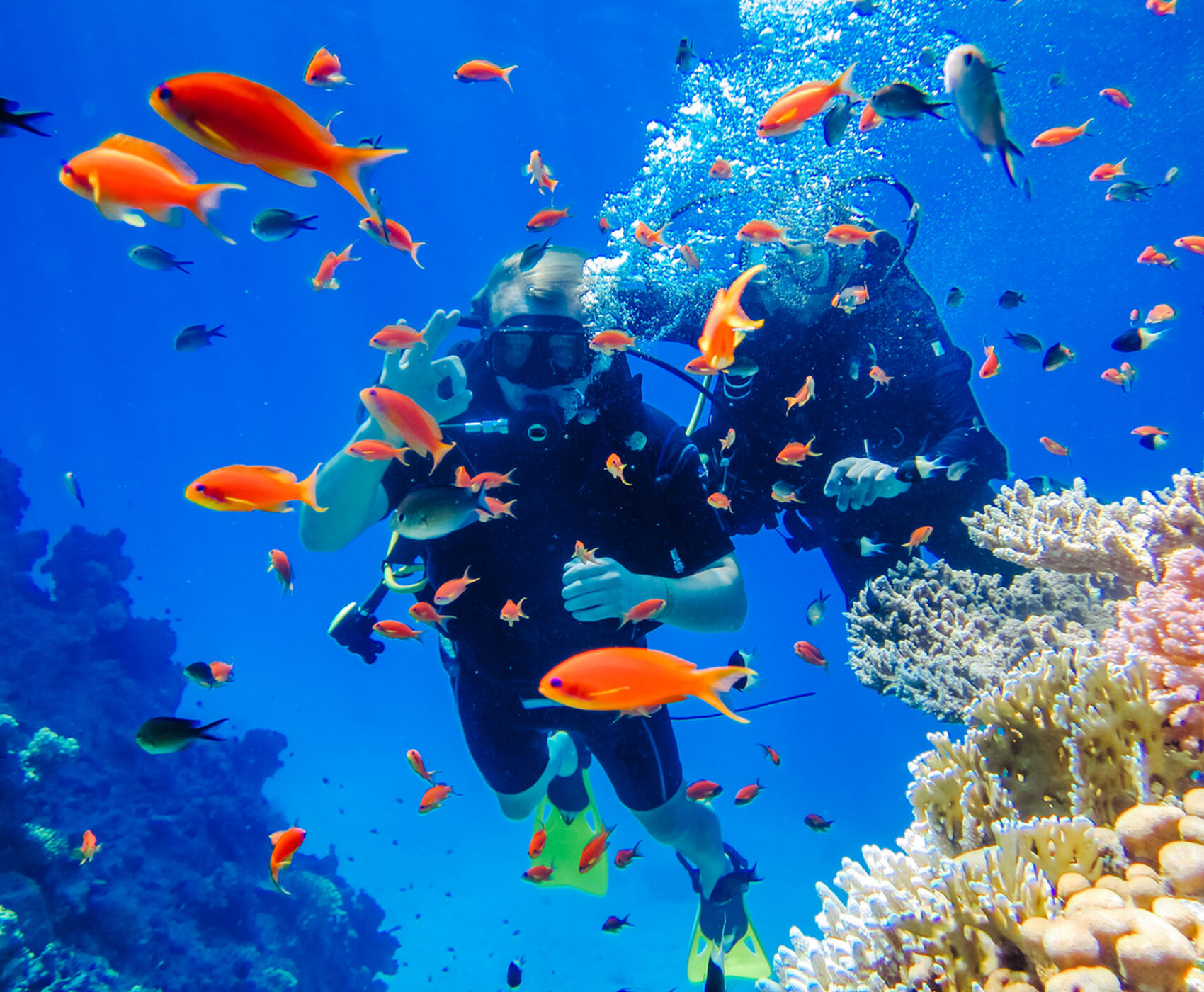 ANKARA ÇIKIŞLI HERŞEY DAHİL UÇAKLI BAŞTAN BAŞA MISIR HURGHADA LUXOR KAHİRE SHARM EL SHEİKH